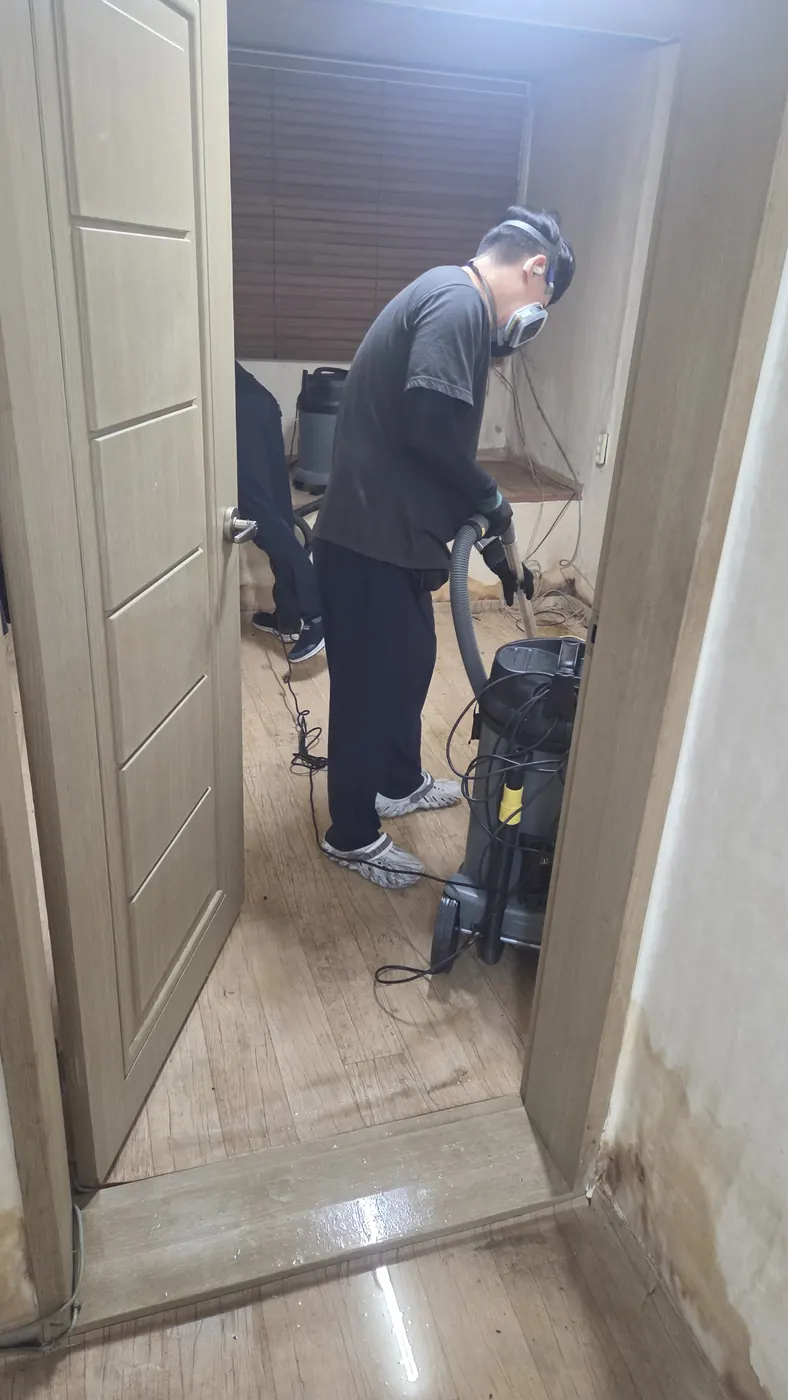 오염 제거 — 단양군 침수청소 현장
