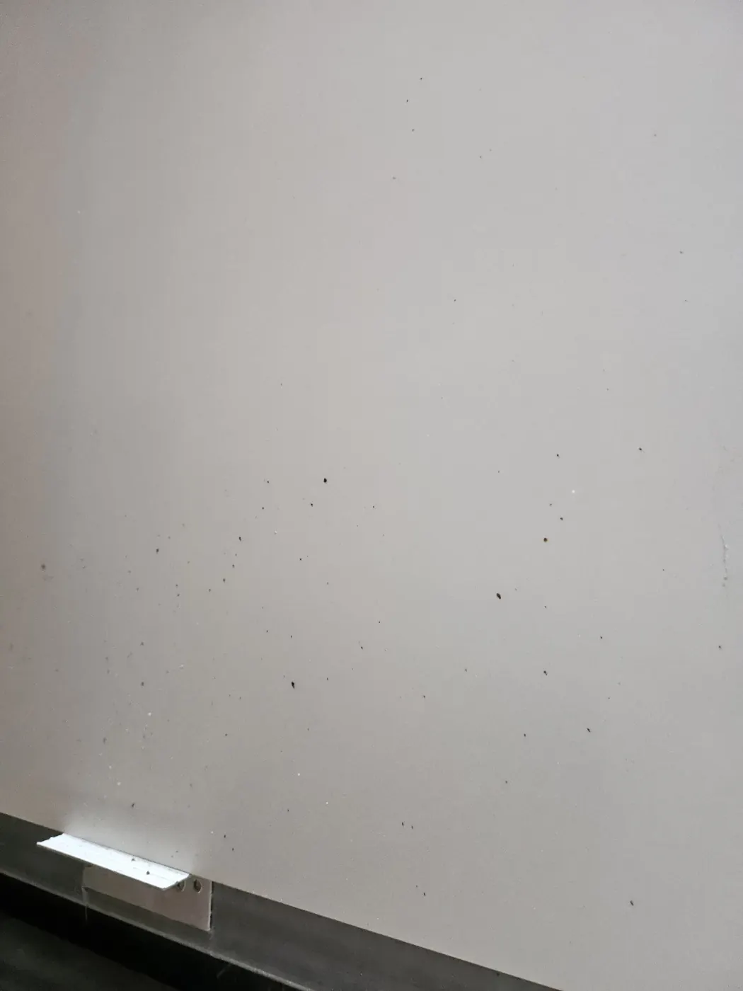 속리산면 병원청소 시공 현장 — 시공 완료