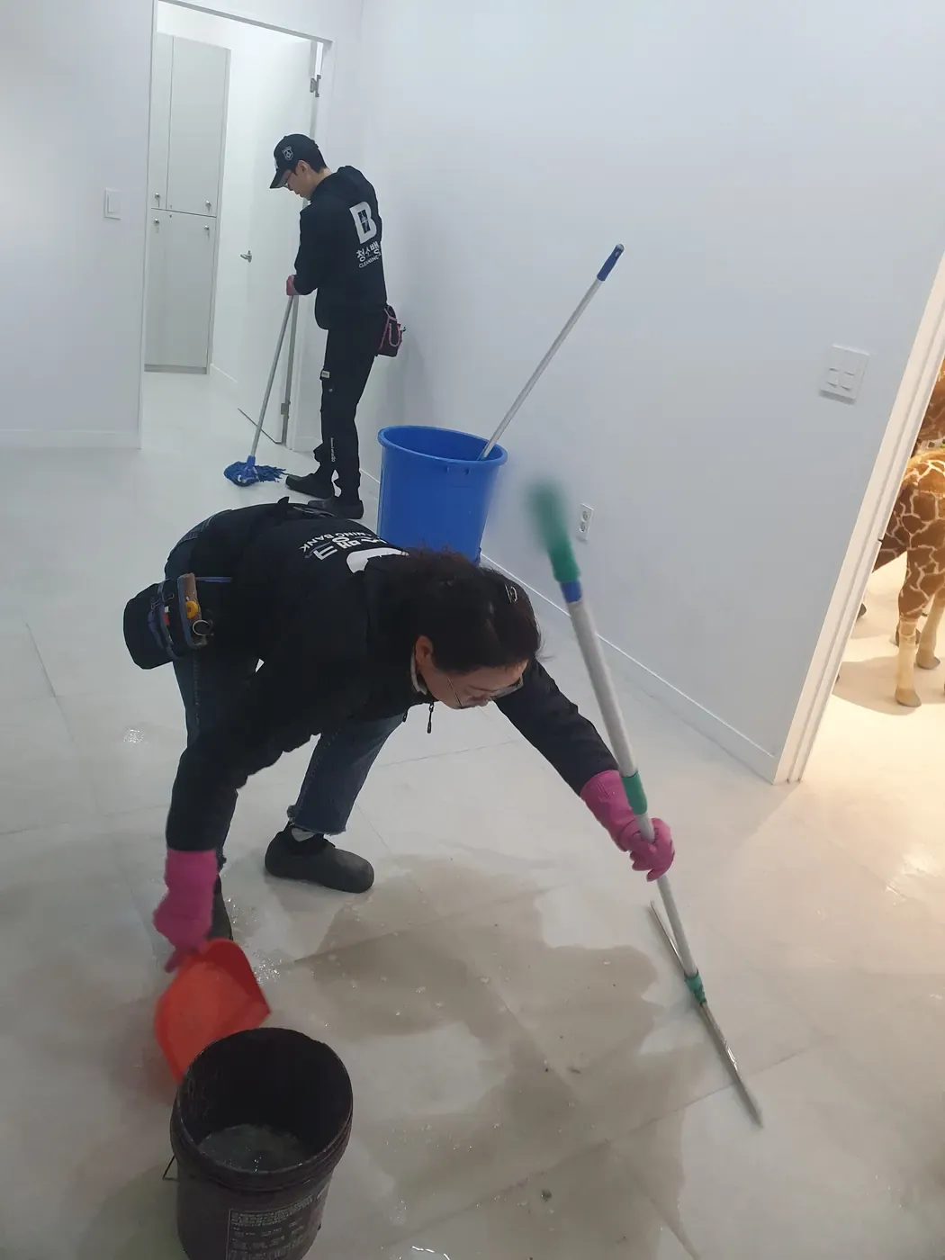바닥 물걸레 마감 — 단양군 병원청소 현장